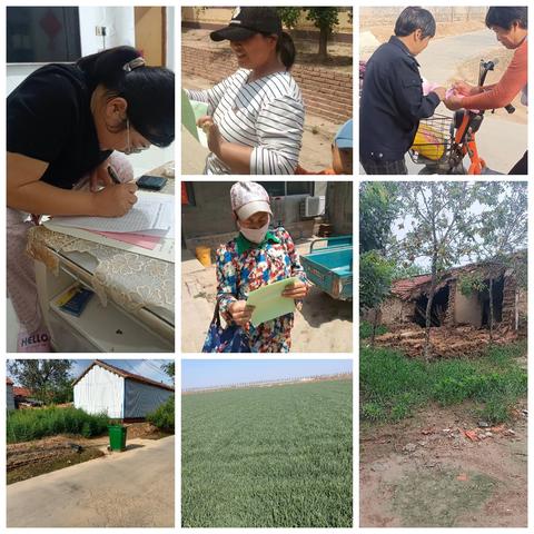 禁种铲毒守净土，网格巡查筑平安