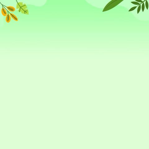 鸟的天堂，心的栖所——《鸟的天堂》第一课时读写结合教学纪实