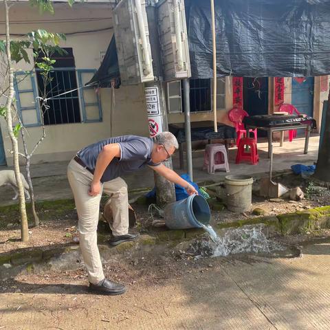 齐动手 清积水 灭蚊媒 海棠区营商环境建设局防蚊灭蚊在行动