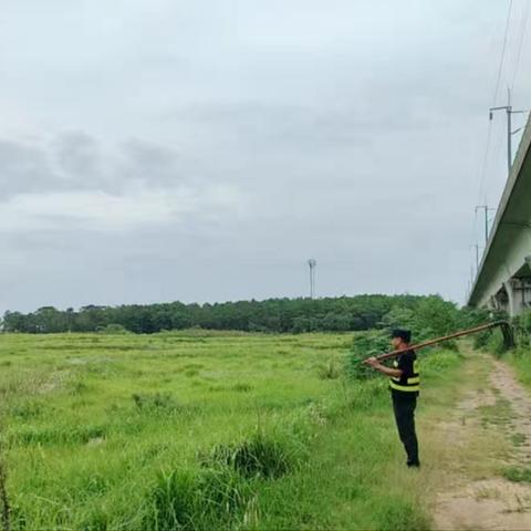 余江区护路办全面排查隐患，做好台风防范应对准备