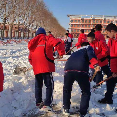 清雪除冰见行动 劳动教育正当时