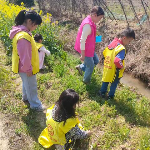 横峰县龙门畈乡童家村阳光驿站开展“春日寻趣 共赴暖阳”户外主题活动