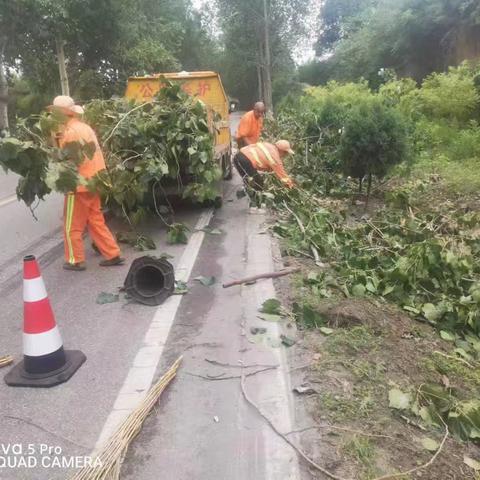 七月来临，终于迎来了盼望已久的一场大降雨，让道路两旁的路树，苗圃，花草得到了缓解，狂风大作，道路两旁的树木刮到了好几棵，无形之中给养护工加大了工作量，路上的残枝，树叶满路面都是，加班加点，保证道路畅通