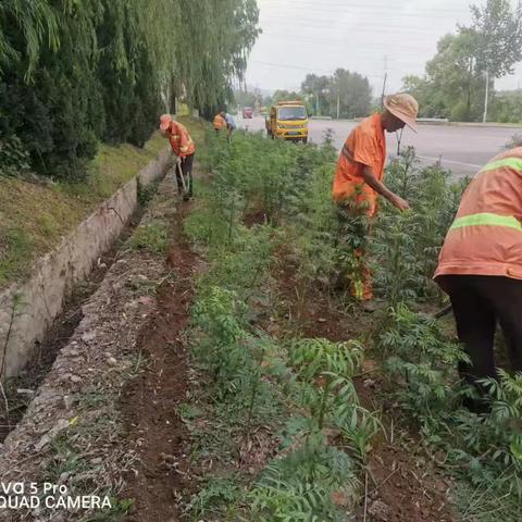 涉县公路养护