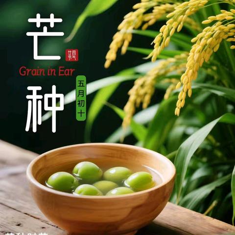 【校园之声】丛阳第二小学红领巾广播站｜第十六期