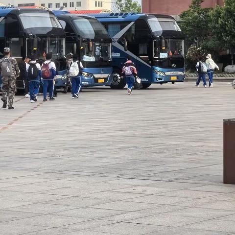 台儿庄研学之旅：探寻历史的厚重与文化瑰丽