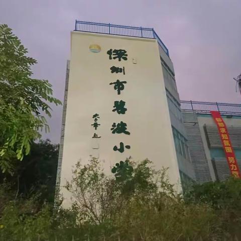 在体验中学习，在学习中体会 ———9月份在深圳碧波小学跟岗学习心得