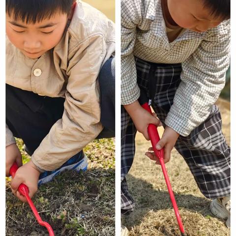 我为春天送礼物