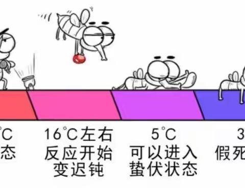 秋天蚊子“猛如虎”，防蚊灭蚊是关键