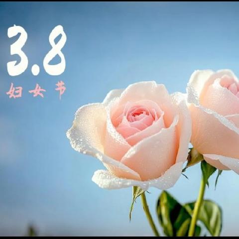 致敬每一位女性，妇女节快乐