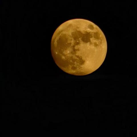 “我与传统节日的一年”——中秋节