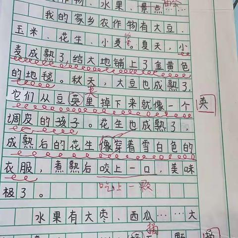 作业检查促规范 ，规范检查促提升——定陶区兴华路实验小学作业教案检查纪实