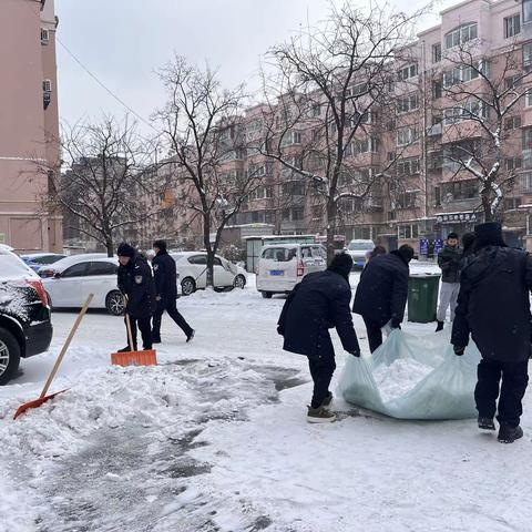 在职党员进社区 除雪运雪暖人心