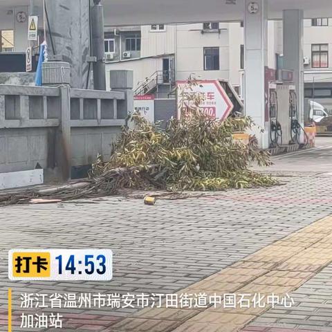 汀田街道金凤社区山上陈10月份环境卫生篇