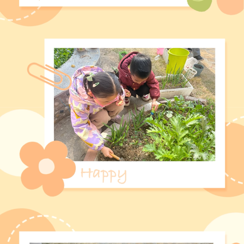 「蜀幼•科学衔接」乐享其“种”  “植”得期待——合肥高新区蜀南庭苑幼儿园春季种植活动