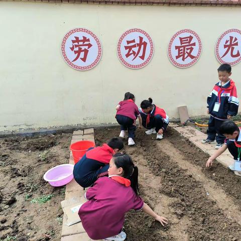 劳动最光荣——沂南县青驼镇高里中心小学三（1）中队校内劳动实践活动