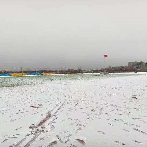 晨丰中学喜迎2025年初雪——银装素裹的校园与青春的交响