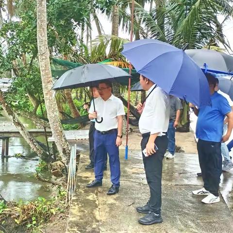 市委常委陈明雁到文城镇开展巡河调研