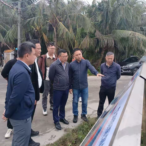 陈明雁调研和美乡村建设