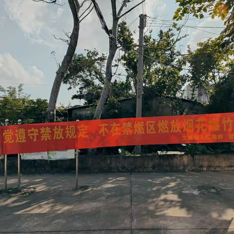 文城镇多措并举做好春节禁止燃放烟花爆竹宣传工作