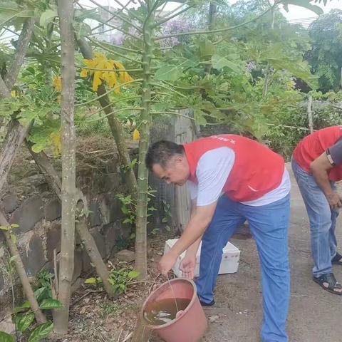 文城镇启动“清洁家园 防蚊灭蚊”百日专项行动