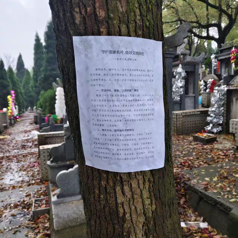 邮储银行津市市支行开展清明节人民币宣传活动