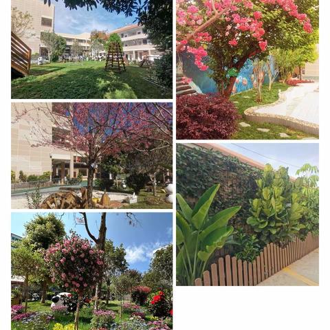 回望追光路   蓄力向未来—记青岛志贤中学2023级101班学期总结