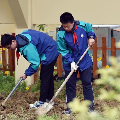 关于劳动技能课程的开班通知