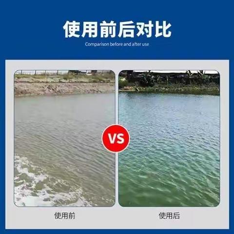 为什么要改善底质？