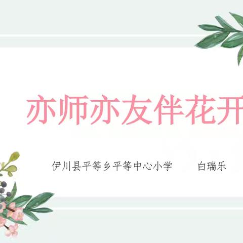 亦师亦友伴花开