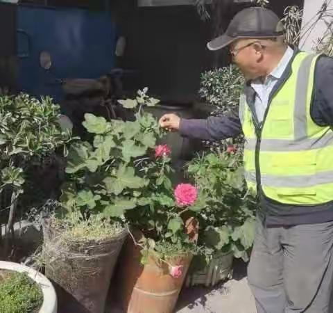 西台头村铲毒宣传