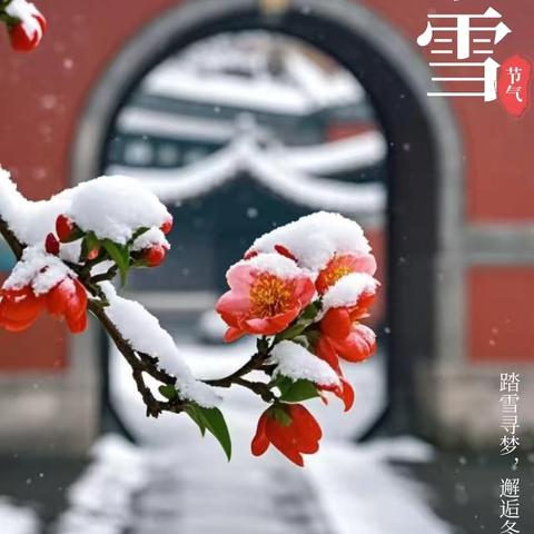 小雪