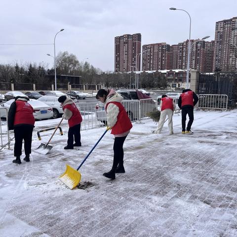 战冰雪，显担当，红树湾社区“志愿红”在行动——浑南区白塔街道红树湾社区除冰雪行动