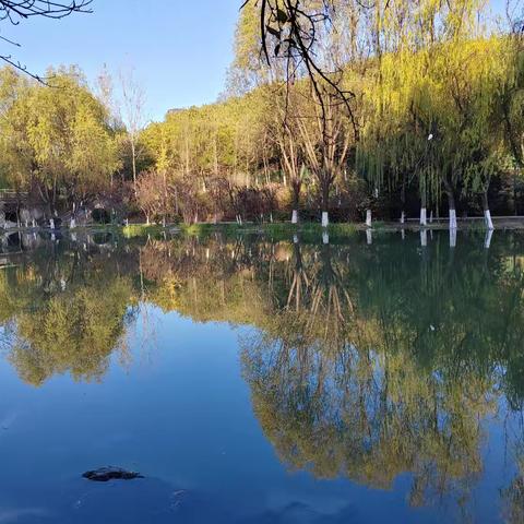 展教学之风采，示数学之魅力——西安市育才中学初中数学组“我与名师同上一节课”课堂展示暨第三届全员课堂大练兵活动纪实