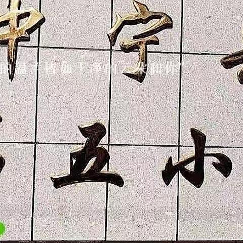 体教融合赋能量，五育并举促成长——中宁五小体教融合现场观摩会纪实