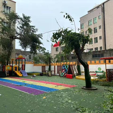 【风雨过后 共“净”家园】海口市龙华区小森林幼儿园开展台风后校园环境清洁工作