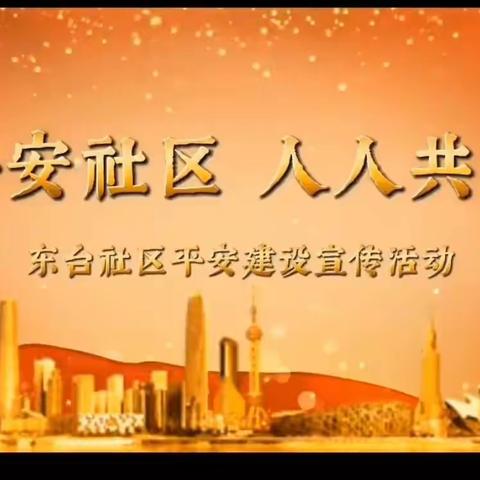 平安社区 人人共享——东台社区开展平安建设宣传工作