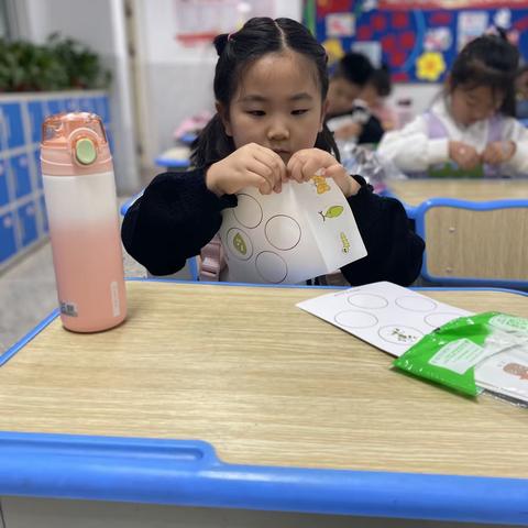 云龙小学（6、8-12）鲨鱼公园STEM主题课程《生命的循环》