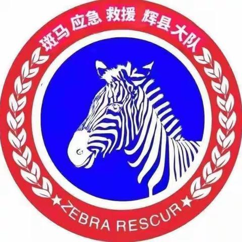 危难时刻.斑马相助