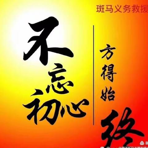 爱心传递、救援不止