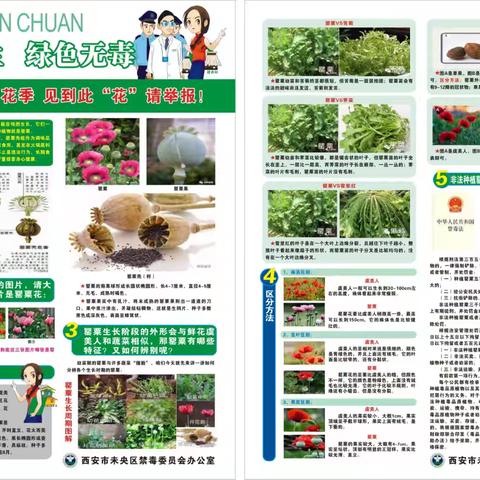 禁毒踏查进社区，共筑洁净新家园——未央宫街道金仕华城社区开展禁毒排查专项行动工作纪实