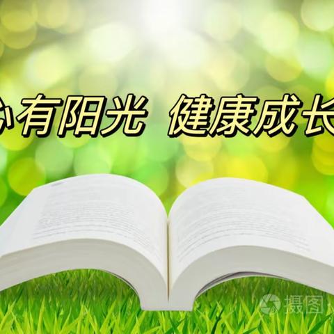 心有阳光，健康成长——淑阳镇大罗屯小学心理健康系列教育活动