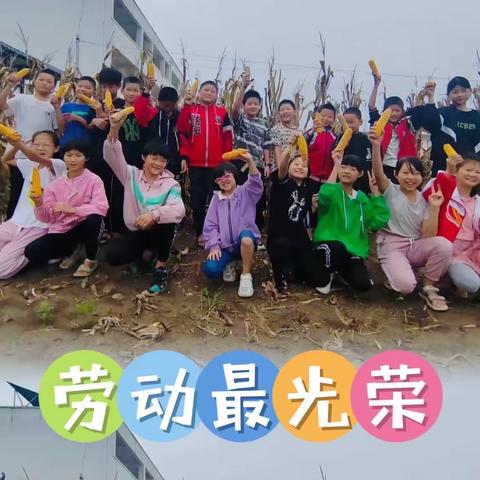 王洼小学劳动实践—玉”见好食光