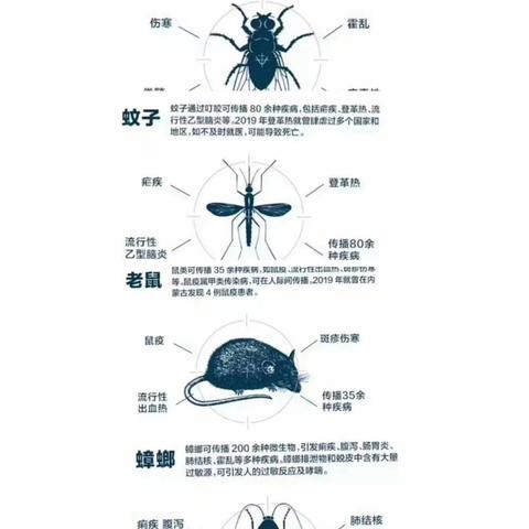 预防控制病媒生物    共建和谐美好校园-东黄城镇中心校开展病媒生物防治宣传工作