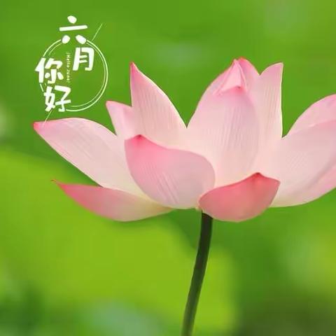 梧桐树物业服务中心💞6月第2工作周报