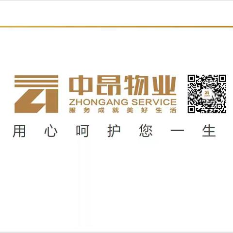 梧桐树服务月报（6月）