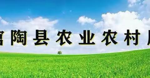 【馆陶县农业农村局】10月31日工作动态