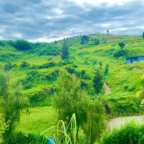 江川作协、诗协联合采风——探寻古遗址，共赴文化之约