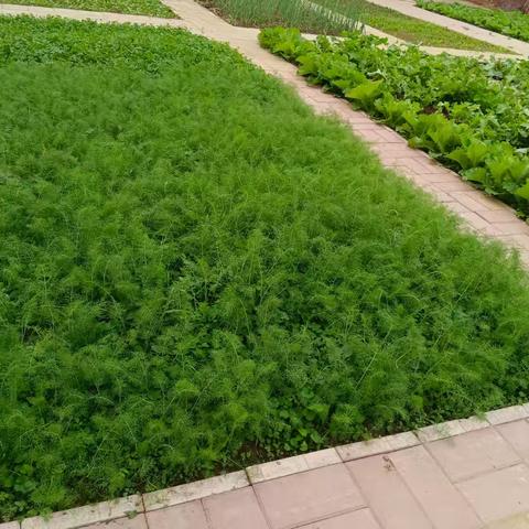 研有所见，学有所获