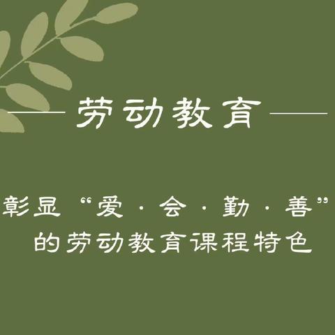 享丰收之美，行劳动之乐——贺兰县常信小学二年级劳动实践活动